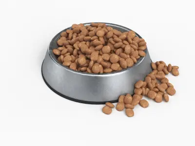 Pet Food Bowl Metal With Food 3D model