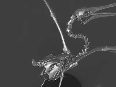 Silver Pelican Skeleton for Art Project 3D model