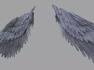 Harpy Wings 3D model
