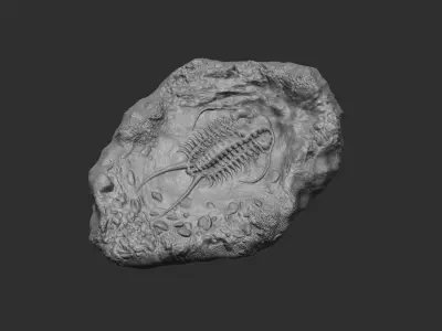 Trilobite Mineral Fossile - Realistic Printable and Keychain 3D print model