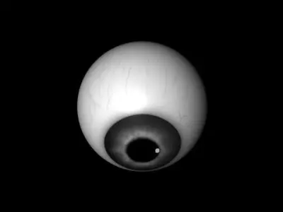 Grey eyes Free low-poly 3D model