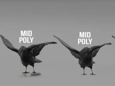 Photorealistic Raven Crow Low-poly 3D model