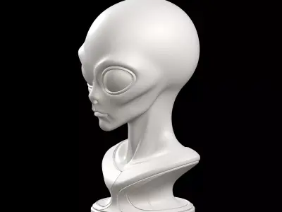 Alien Grey Bust 3D print model