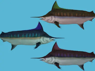 SWORD FISH RIGGED ANIMATED 7 Low-poly 3D model