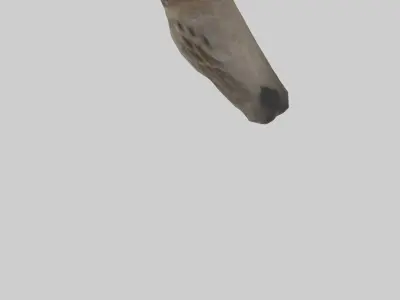 Sparrow Beak 3D model