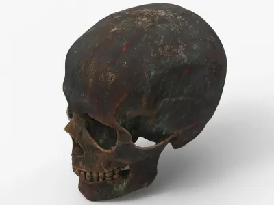 Human Skull Sci-fi Iron B 3D model