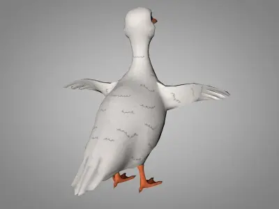 Duck or Drake Low-poly 3D model