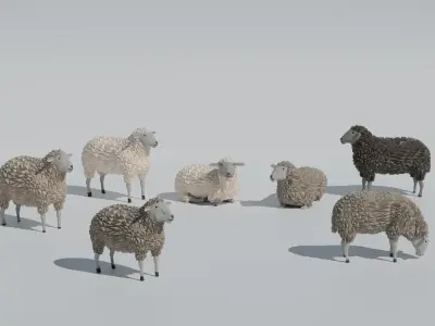 low poly sheep pack  Low-poly 3D model