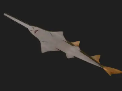 Ray fish Low-poly 3D model