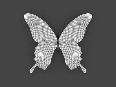 BFLY-005 Butterfly 3D model