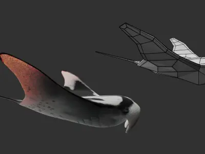 Animated Manta Ray Low-poly 3D model