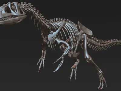Allosaurus skeleton model Low-poly 3D model