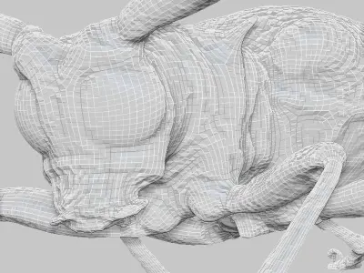 Insect Collection Vol 1 Low-poly 3D model