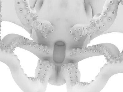 King Octopus 3D model