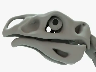 Therizinosaurus Rigged Skeleton Low-poly 3D model