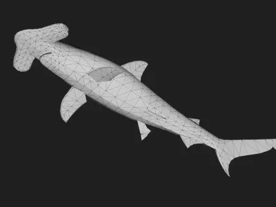 Hammerhead Low-poly 3D model