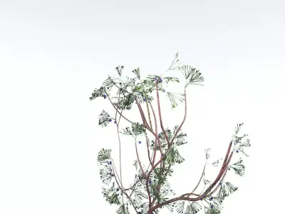 EVERYPlant Baiera LowPoly 4 --14 Models-- Low-poly 3D model