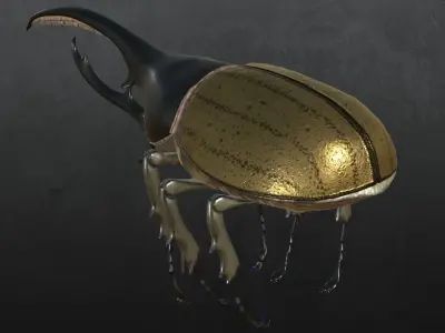 Hercules Beetle 3D model