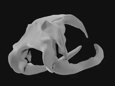 Bowhead Whale Skull 3D model