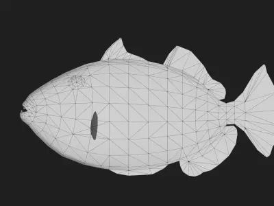 Clowntriggerfish Low-poly 3D model