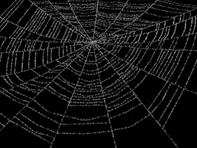 Spiderweb 2 3D model