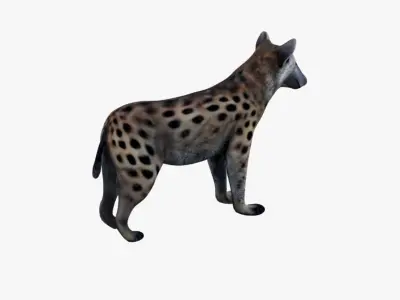 Hyena Free 3D model