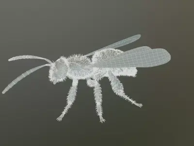 bee polygon  3D model