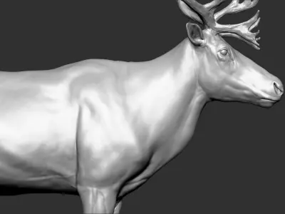 Reindeer 3D model buy