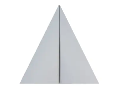 The Paper Plane 3D model