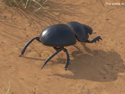 Mud Beetle Dirty Rigged for Maya 3D model