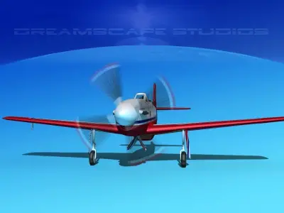 P-51 Mustang Sport Serious 3D model