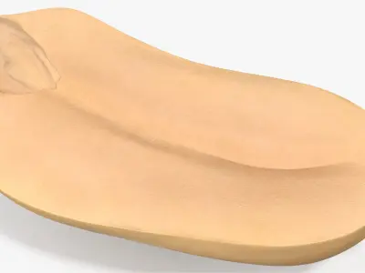 Peanut Seed Peeled 3 3D model
