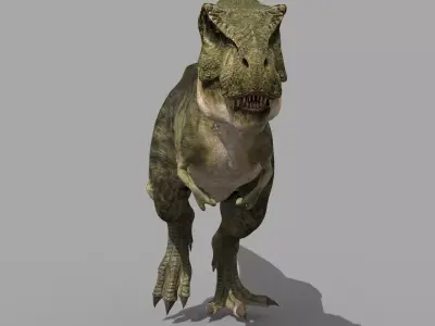 T Rex Premium 8K - fully animated 3D model