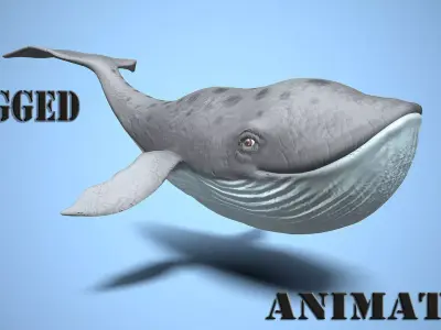 cartoon whale Low-poly 3D model