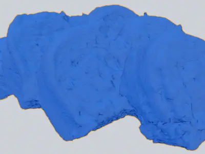 Sushi Rolls with fresh tuna and salmon Japanese cuisine seafood 3D model