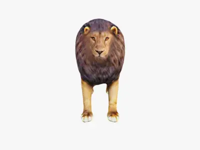 Lion Animal Free 3D model