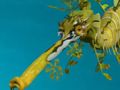 Leafy sea dragon 3D model