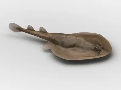 Electric Ray Numbfish DiReap Torpedo Fish Low-poly 3D model