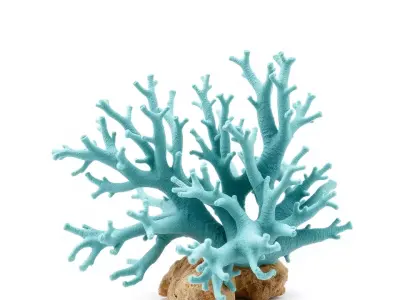 Turquoise Coral model pack Low-poly 3D model