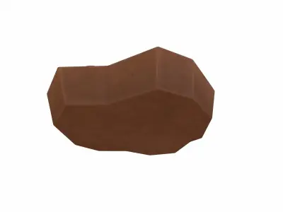 Fossil Ammonite 3D model