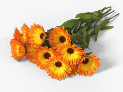 Calendula Flower Bouquet Yellow Fur 3D model