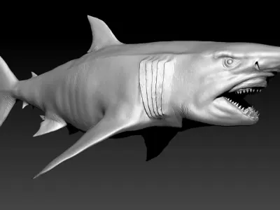 Megalodon SCULPT Project 3D model