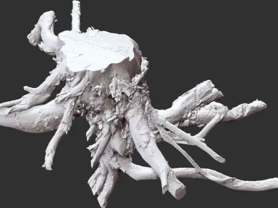 3d scan tree root in highpoly 3D model
