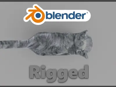 Exotic Shorthair Free 3D model