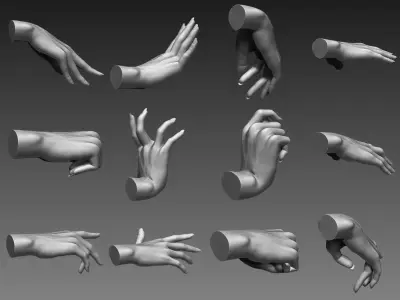 12 Female Hands 3D model
