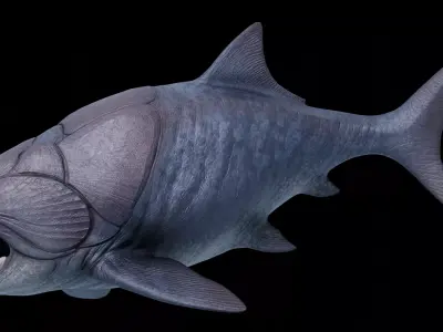 Dunkleosteus Asset Pack Low-poly 3D model