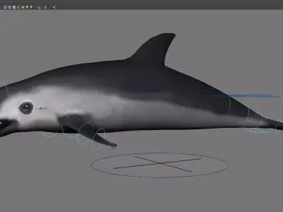 dolphin animal porpoise cetaceans whale marine dauphin 3D model