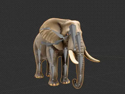 Realistic African Elephant Low-poly 3D model