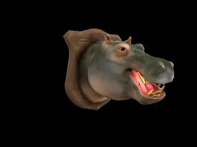 Hippopotamus - Hippo - Head - PBR - Textured Low-poly 3D model