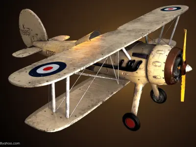 Old Plane 3D model